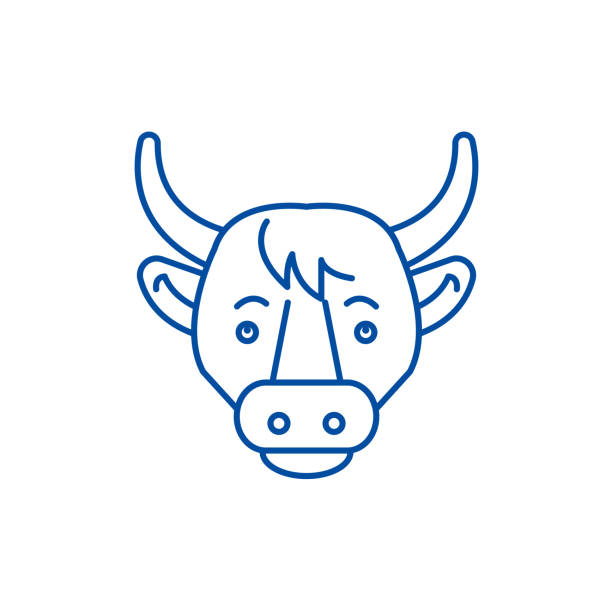 ilustrações de stock, clip art, desenhos animados e ícones de funny cow line icon concept. funny cow flat  vector symbol, sign, outline illustration. - brown white cattle cow