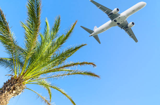 istock Airplane flying over tropical palm tree on sky background 1140561789