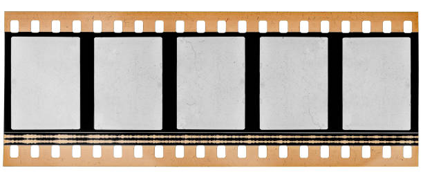 real high res scan of 35mm film material or movie strip on white background with empty frames or cells real scan of 35mm film strip or material 35mm movie camera stock pictures, royalty-free photos & images