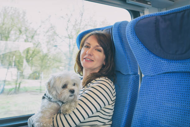 istock Dog traveling by train with his owner 1140564148