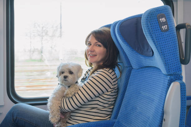 istock Dog traveling by train with his owner 1140564237