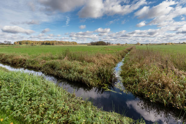 istock Moorland in Autum 1140564262