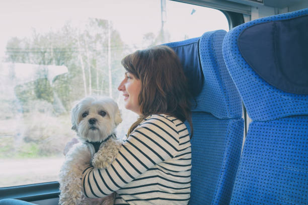 istock Dog traveling by train with his owner 1140564324