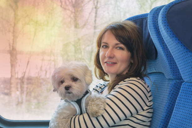 istock Dog traveling by train with his owner 1140564385