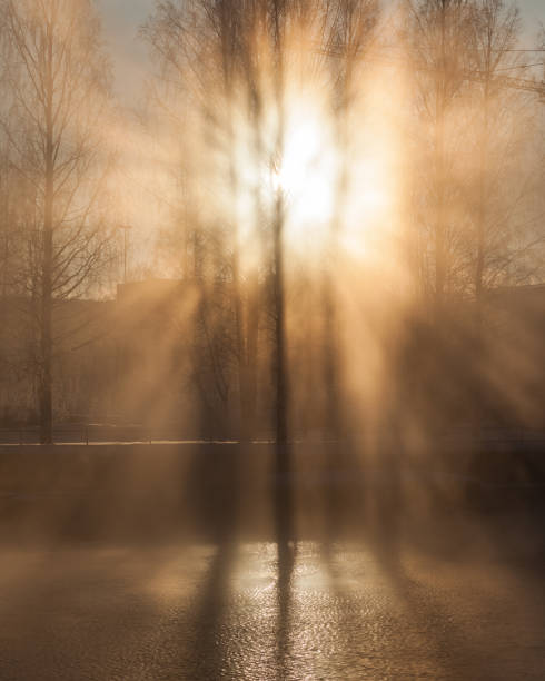 istock Sunbeams at morning in city park 1140564454