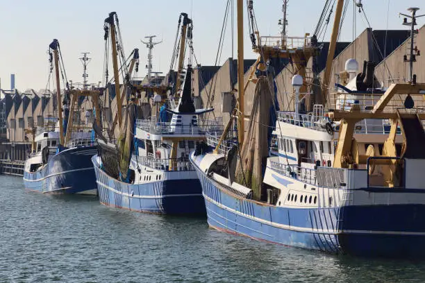 Fishing trawlers and fish warehouses in the harbor of Scheveningen, Holland