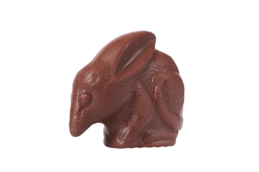 Chocolate bilby against a white background. Australian Easter concept.