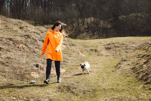 istock Woman running with dog at the forest 1140572473