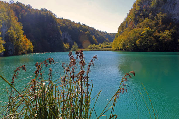 istock Plitvice Lakes National Park, Croatia 1140573576