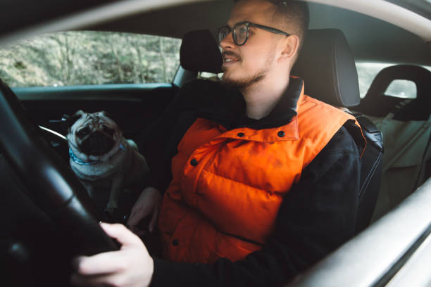 istock Man and dog travel outdoors by car 1140576538