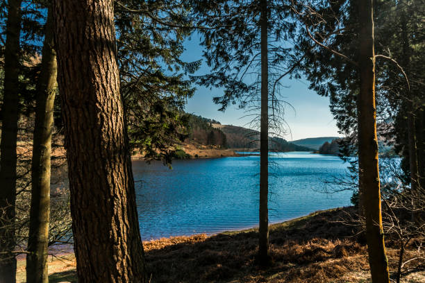 Talla Reservoir close to Moffatt, Dumfries and Galloway in Scotland.
