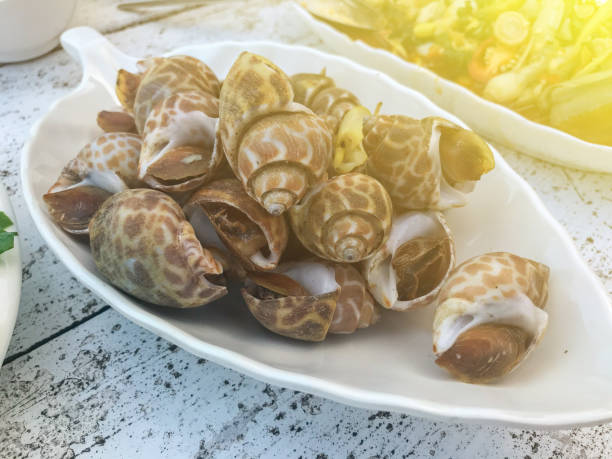 istock close up of boiled shell on white plate 1140578028