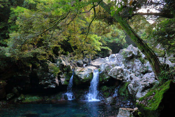 istock Mandarin ducks Waterfalls, waterfalls, valleys, valleys 1140578508