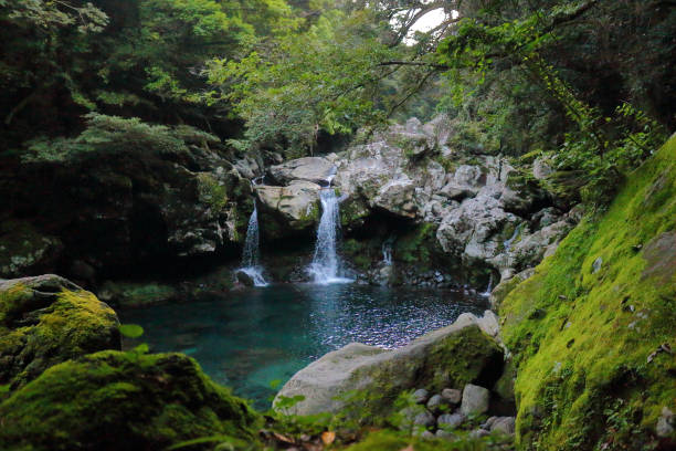 istock Mandarin ducks Waterfalls, waterfalls, valleys, valleys 1140578513