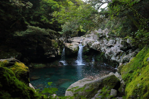 istock Mandarin ducks Waterfalls, waterfalls, valleys, valleys 1140578514