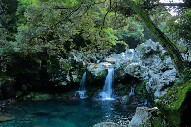 istock Mandarin ducks Waterfalls, waterfalls, valleys, valleys 1140578552