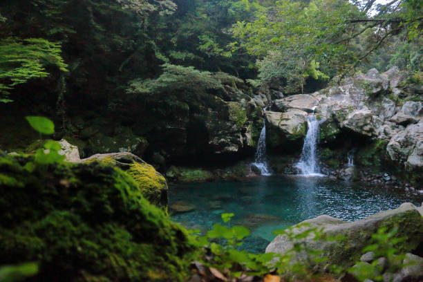 istock Mandarin ducks Waterfalls, waterfalls, valleys, valleys 1140578618