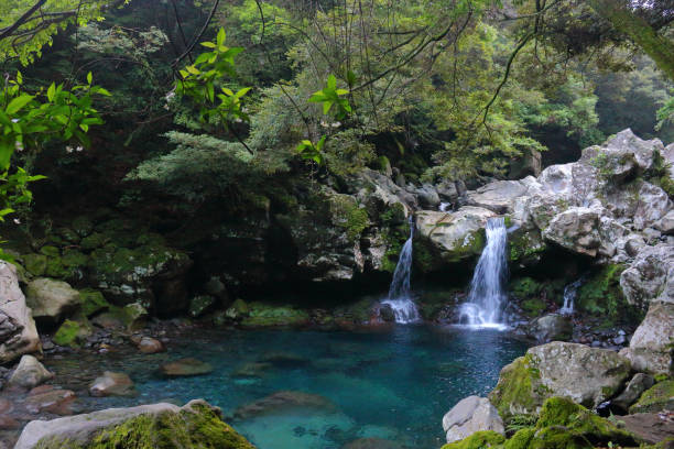 istock Mandarin ducks Waterfalls, waterfalls, valleys, valleys 1140578619