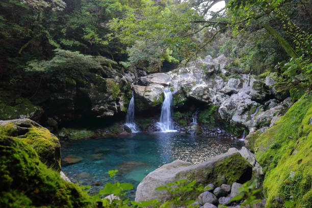 istock Mandarin ducks Waterfalls, waterfalls, valleys, valleys 1140578643
