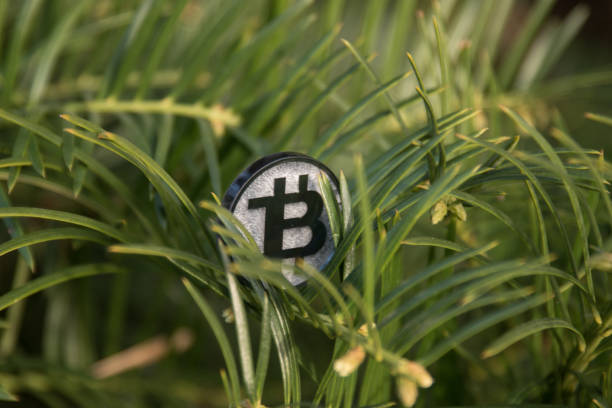 istock Black bit coin made from plastic in nature 1140580524