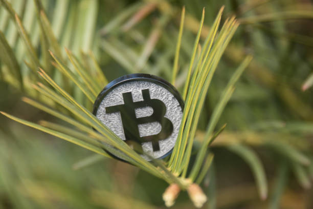 Black bit coin made from plastic in nature