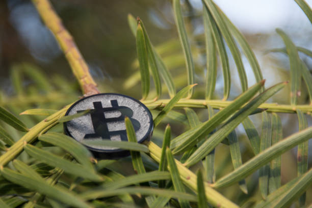 istock Black bit coin made from plastic in nature 1140580617