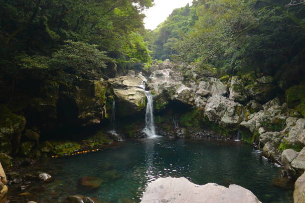 istock Mandarin ducks Waterfalls, waterfalls, valleys, valleys 1140581311