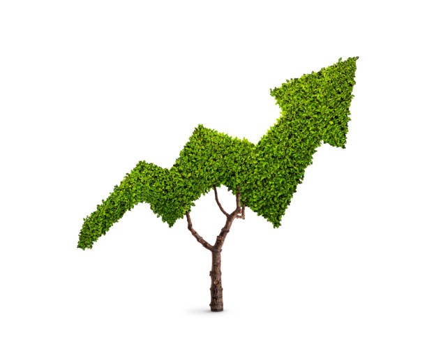 istock Tree in the shape of an arrow 1140581869