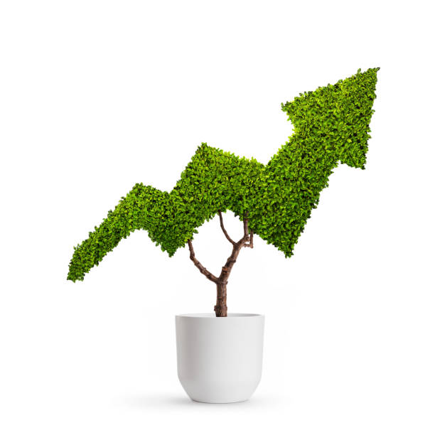 istock Tree in the shape of an arrow 1140581924