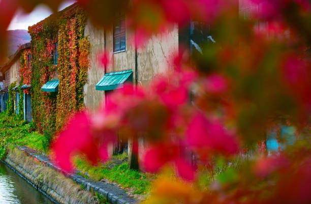 istock Otaru canal in autumn 1140581939