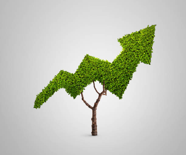 istock Tree in the shape of an arrow 1140582073
