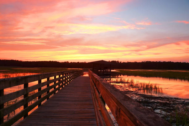 istock Huntington Beach State Park landscape. 1140583236