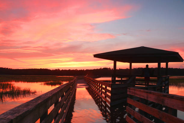 istock Huntington Beach State Park landscape. 1140583242