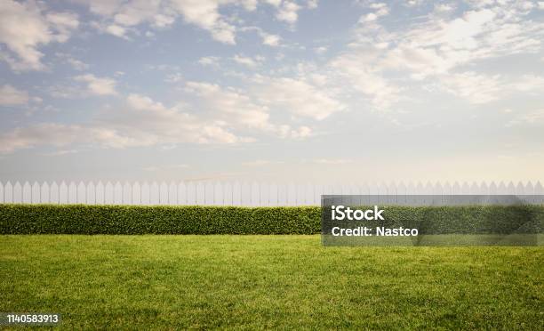Empty Front Or Back Yard With Copy Space Stock Photo - Download Image Now - Yard - Grounds, Back Yard, House