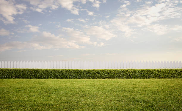 empty front or back yard with copy space - garden fence imagens e fotografias de stock