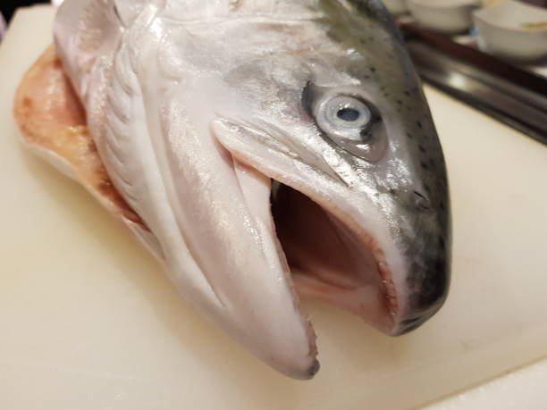 istock salmon fillet. Fresh sliced salmon fish:Use for website/banner background, backdrop 1140585456