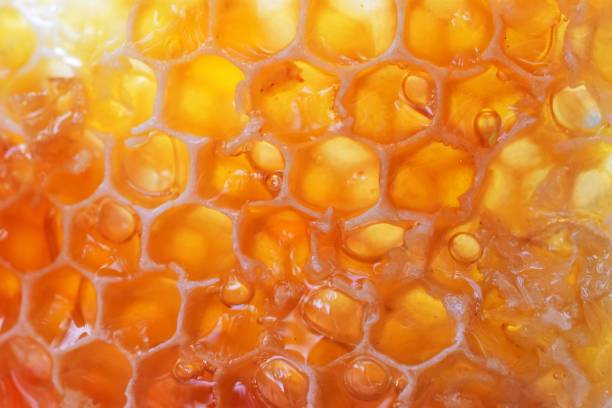 Honey Honeycomb honeycomb pattern photos stock pictures, royalty-free photos & images