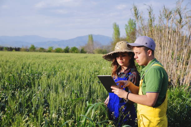 istock Two farmer standing in a field and looking at tablet 1140589153