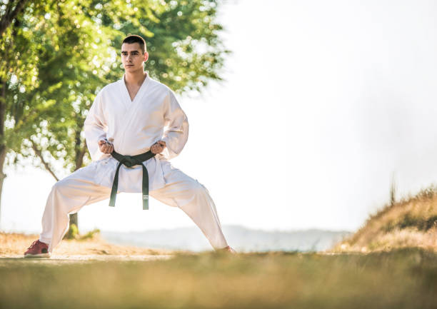 istock Martial artist practicing in nature. 1140590591