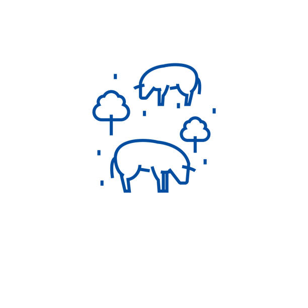Cows in field line icon concept. Cows in field flat vector symbol, sign, outline illustration. Cows in field line concept icon. Cows in field flat vector website sign, outline symbol, illustration. herd of cows stock illustrations