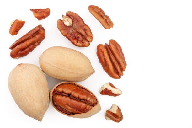 istock pecan nut isolated on white background with copy space for your text. Top view. Flat lay 1140592319