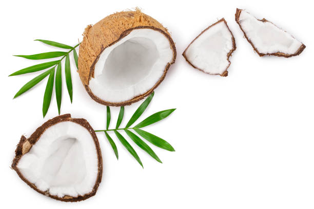 istock coconut with leaves isolated on white background with copy space for your text. Top view. Flat lay 1140593528