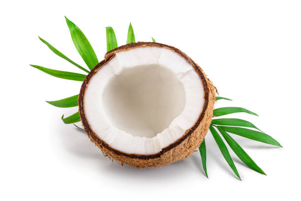 istock half of coconut with leaves isolated on white background 1140593539