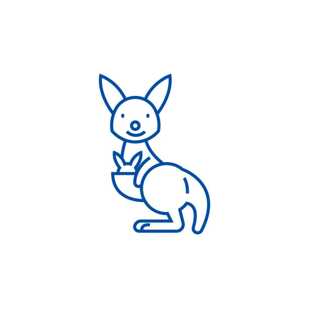 Cute kangaroo line icon concept. Cute kangaroo flat  vector symbol, sign, outline illustration. Cute kangaroo line concept icon. Cute kangaroo flat  vector website sign, outline symbol, illustration. joey stock illustrations