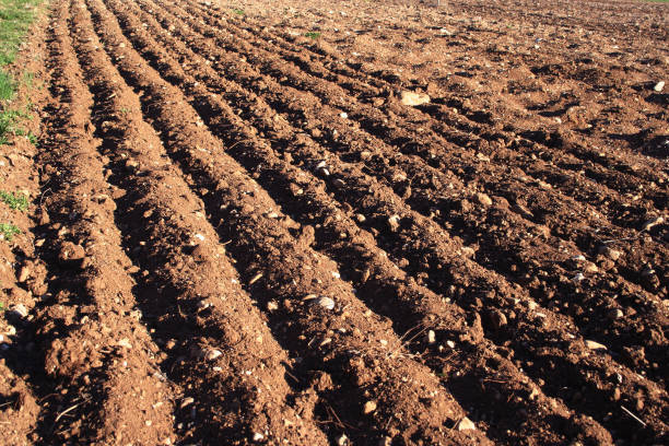 istock Furrows in a field after plowing it . 1140598754