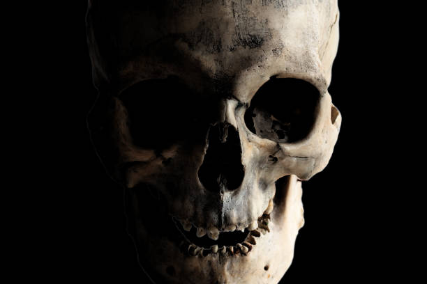 istock Contrast image of a real human skull on a dark background. Isolated on black. 1140602919