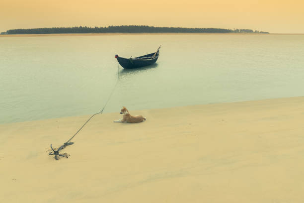 Moody image of a boat on water tied by a rope with an anchor on river bed while a lazy dog lying nearby, Tajpur, West Bengal, India. Minimalistic image.