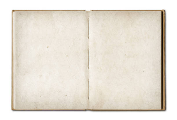 istock Vintage open book isolated on white background 1140605103
