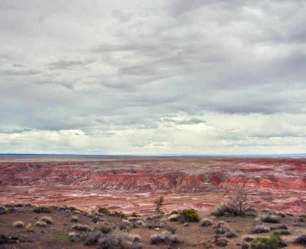 istock Petrified Forest National Park, Arizona, USA 1140608055