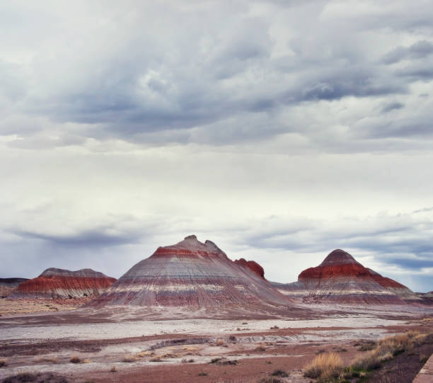 istock Petrified Forest National Park, Arizona, USA 1140608234